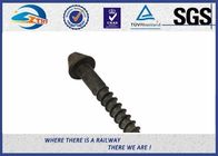 8.8 Grade Square Head Railway Sleeper Screws /  Railway Fasteners