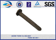 Customized Track Spikes Screw Track Spikes Railway Fasteners