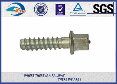 Electric Zinc Plated 5.6 Grade Railway Sleeper Screws DIN Standard For Steel Rail