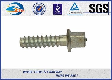 SS Serie HDG Surface Railway Sleeper Screws 5.6 Grade For Railway Fastener