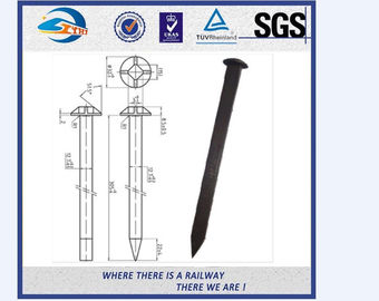 High Tensile Strengt Railroad Track Spikes With ISO9001 Certificate