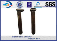 ZhongYue Ground Railroad Track Spikes For Solar Mounting System