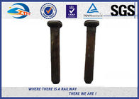 Oiled Plain Stainless Steel Railroad Track Spikes Grade 4.6 5.6 8.8