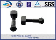 SGS BV Railway Fastener Hex Head Anchor Bolt HDG Custom Diameter 18mm And 22mm
