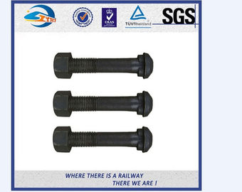 Grade 10.9 Material 40Cr Railway Bolts Track Fish Bolt UIC864-2