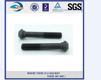 Grade 4.8 / 8.8 Railway Bolt , Hot Galvanized Fish Bolt And Nut