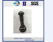 DIN304 railway hex nut and bolt on rails grade 8.8 / 10.9 / 12.9