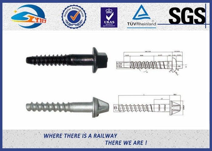 SS Serie HDG Surface Railway Sleeper Screws 5.6 Grade For Railway Fastener