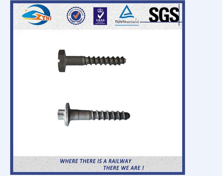 Zhongyue Railway Screw Screws Hexagonfor Railroad , Track Hex Head Screw