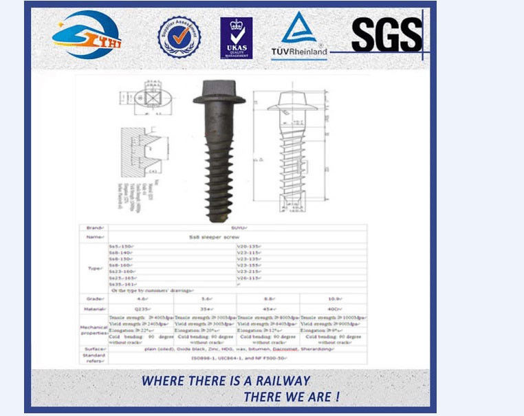 Carbon Steel Q235 Railway Spike Hot Dog Machine Railroad Screw 5.6 Grade