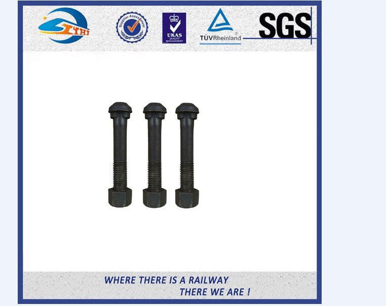 SGS BV Railway Fastener Hex Head Anchor Bolt HDG Railway Bolts