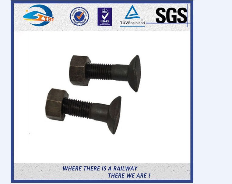 Grade 4.8 / 8.8 Railway Bolt , Hot Galvanized Fish Bolt And Nut